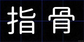 指骨