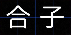 合子