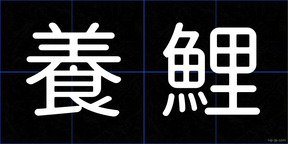 養鯉