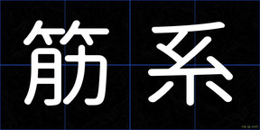 筋系