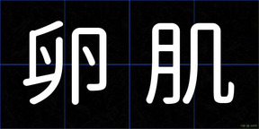 卵肌