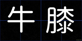 牛膝