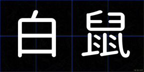 白鼠