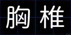 胸椎