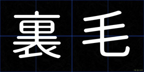 裏毛