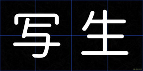 写生