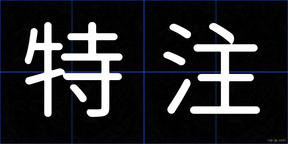特注