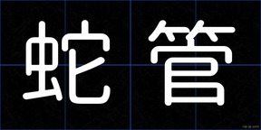 蛇管