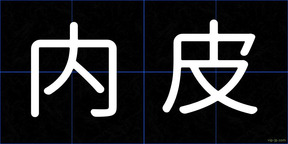 内皮
