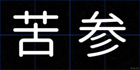 苦参