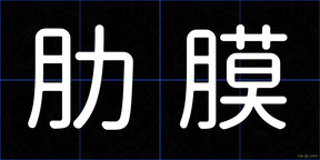 肋膜