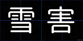 雪害