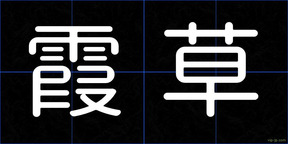 霞草