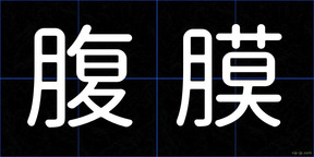 腹膜