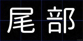 尾部