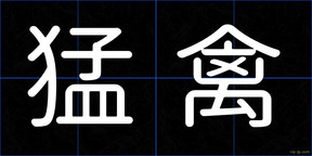 猛禽