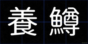 養鱒