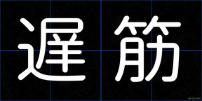 遅筋