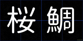 桜鯛