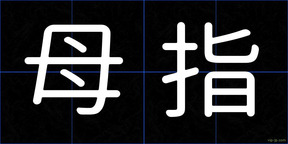 母指