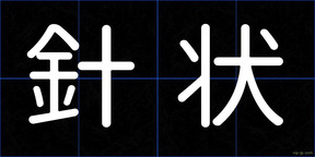 針状