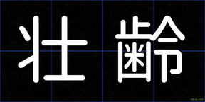 壮齢