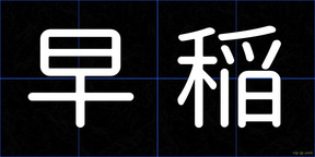早稲