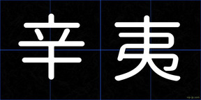 辛夷