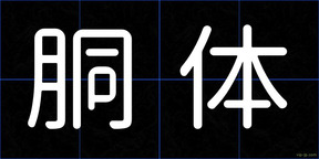胴体