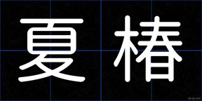 夏椿