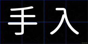 手入