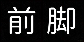 前脚