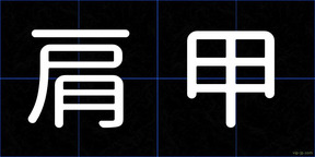 肩甲