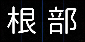 根部