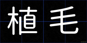 植毛