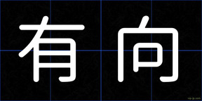 有向
