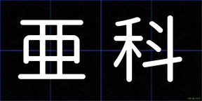 亜科