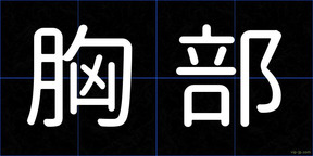 胸部