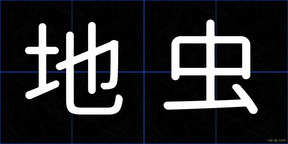 地虫