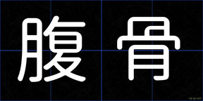 腹骨