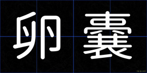 卵嚢