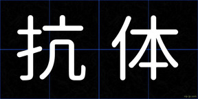 抗体