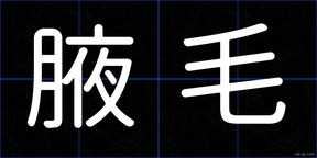 腋毛