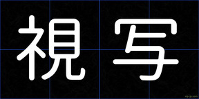 視写