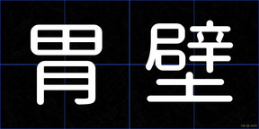 胃壁