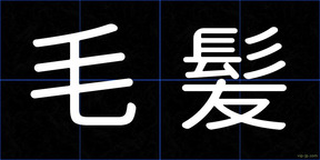 毛髪