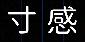 寸感