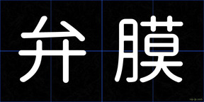 弁膜