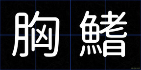 胸鰭