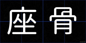 座骨